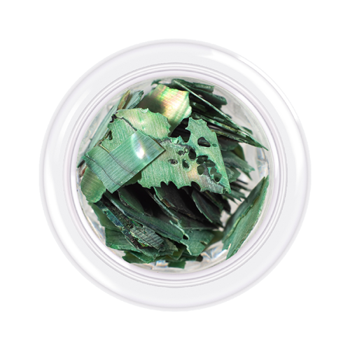 Shells Style No. 08 Kodi Professional 3 g