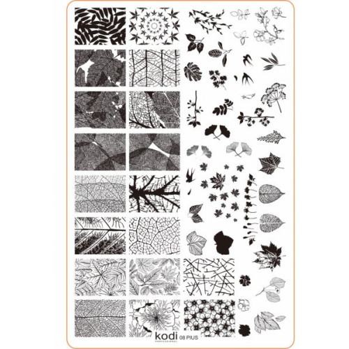 Stamping plate Plus size series size 9.5 * 14.5 No. 08 Kodi Professional