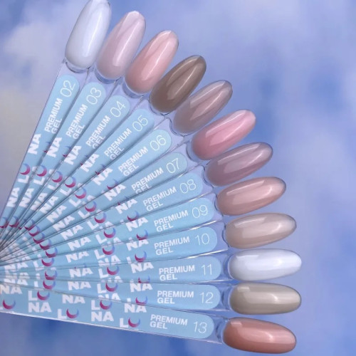 Premium Gel №02 100 ml LUNAmoon