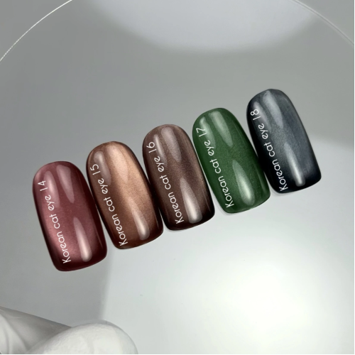 NAILS OF THE DAY Korean cat eye Gel Polish No. 14, 10 мл