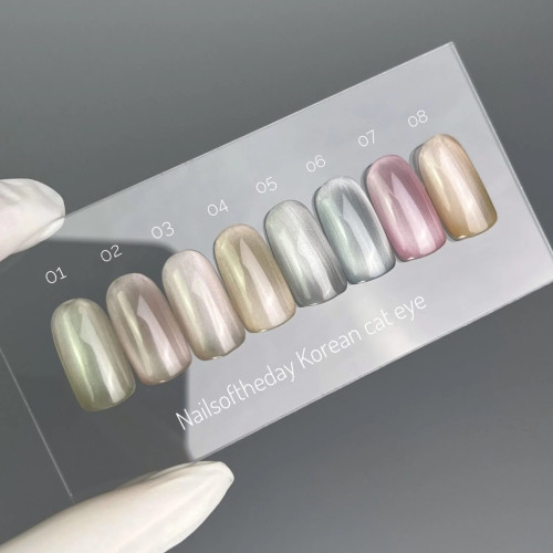 NAILS OF THE DAY Korean cat eye Gel Polish No. 1, 10 мл