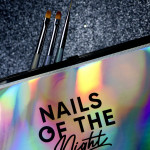 NAILS OF THE NIGHT Set of brushes Nail Art Brush (3 brushes and case)