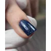 DARK gel polish (new collection) 172, 10 ml
