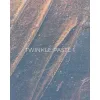 Twinkle paste Gel №01 Edlen 5 ml