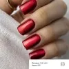 GEMELY Gel Polish Cat Color 015 6 ml