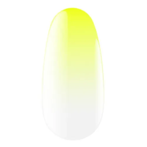 Express Ombrе Spray 13, 5 g Kodi Professional