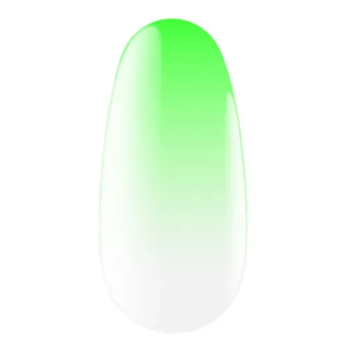 Express Ombrе Spray 14, 5 g Kodi Professional