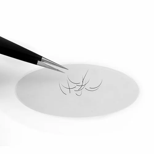 Silicone eyelash pad size Medium Kodi Professional