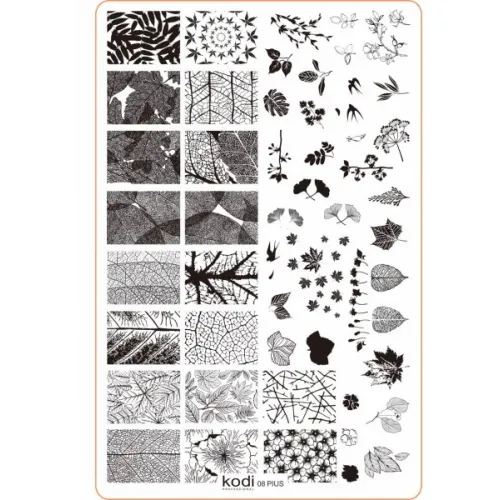 Stamping plate Plus size series size 9.5 * 14.5 No. 08 Kodi Professional
