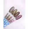 Gel Polish Color Cat Eye №206 8 ml LUNAmoon