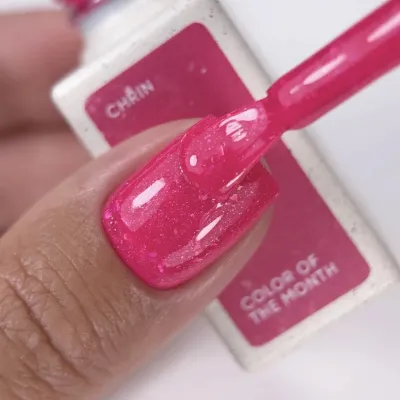 NAILS OF THE DAY Gel Polish Color of the Month August 2026 Chrin 10 ml