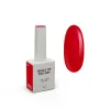 NAILS OF THE DAY Color of the month March 2026 Wild 10 ml