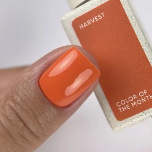 NAILS OF THE DAY Gel Polish Color of the Month September 2026 Harvest 10 ml