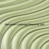 NAILS OF THE DAY Gel polish Cabbage - 240, 10 ml