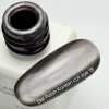 NAILS OF THE DAY Korean cat eye Gel Polish No. 19, 6 ml