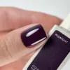 NAILSOFTHEDAY Color of the month January 2026 Midnight 10 ml