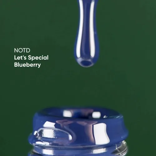 NAILS OF THE DAY Let's special Blueberry, 10 ml