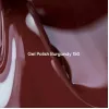 NAILS OF THE DAY Burgundy - 150, 10 ml