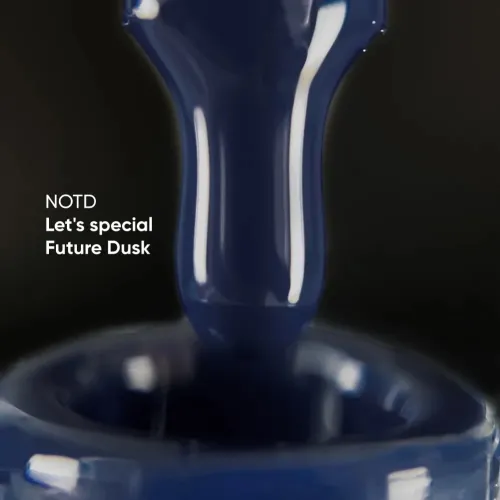 NAILS OF THE DAY Let's special Future Dusk, 10 ml