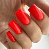 Gel nail polish PNB 146, 8 ml.