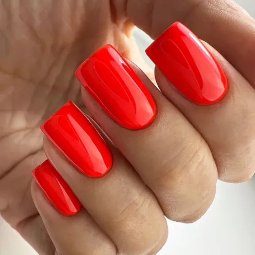 Gel nail polish PNB 146, 8 ml.