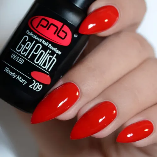 Гель-лак PNB 209/Gel nail polish PNB 209, 8мл