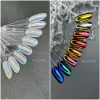SAGA Nail Powder Reflection 0,5 g №01
