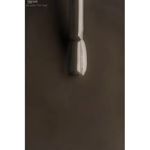 Gel polish "Ash Grey" 10 ml, TRENDY Nails