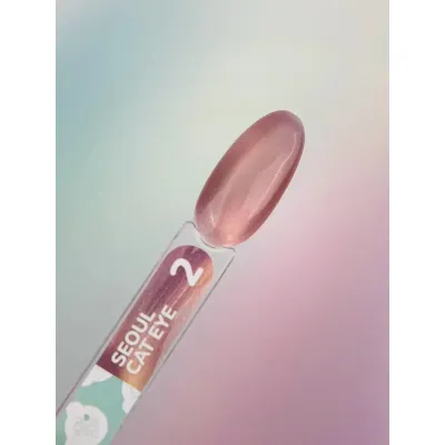 Gel Polish Color Seoul Cat Eye №2 5 ml YOU ARE CUTE