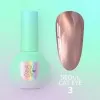 Gel Polish Color Seoul Cat Eye №3 5 ml YOU ARE CUTE