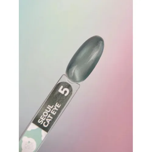 Gel Polish Color Seoul Cat Eye №5 5 ml YOU ARE CUTE