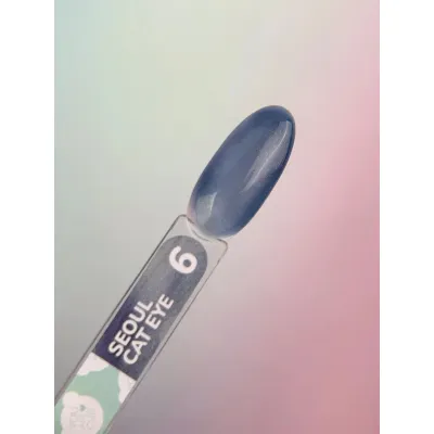 Gel Polish Color Seoul Cat Eye №6 5 ml YOU ARE CUTE