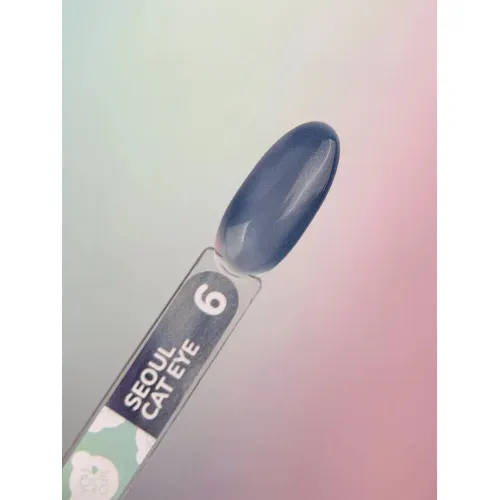 Gel Polish Color Seoul Cat Eye №6 5 ml YOU ARE CUTE