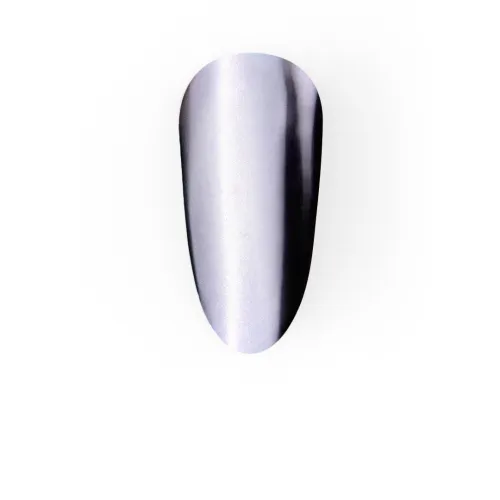 Iron Lady Nail Powder Set (6 pcs.) LUNAmoon