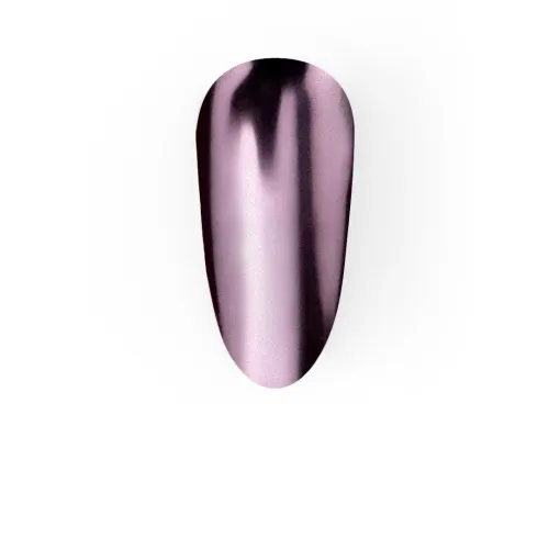 Iron Lady Nail Powder Set (6 pcs.) LUNAmoon