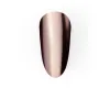 Iron Lady Nail Powder Set (6 pcs.) LUNAmoon