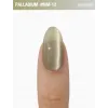 Gel polish Cat’s Eye 12 ml Mm-12 ADORE
