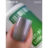Gel polish Cat’s Eye 12 ml St-07 ADORE