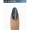 Gel polish Cat’s Eye 12 ml 09:00 ADORE