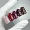NAILS OF THE DAY Bottle gel 17, 10 мл