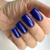Gel nail polish PNB Twilight Spark (limited edition), 8 ml.